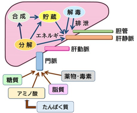 画像2.png